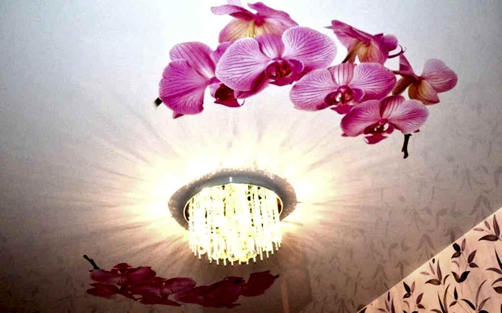 Натяжной потолок с фотопечатью в зале 17,2 кв.м.