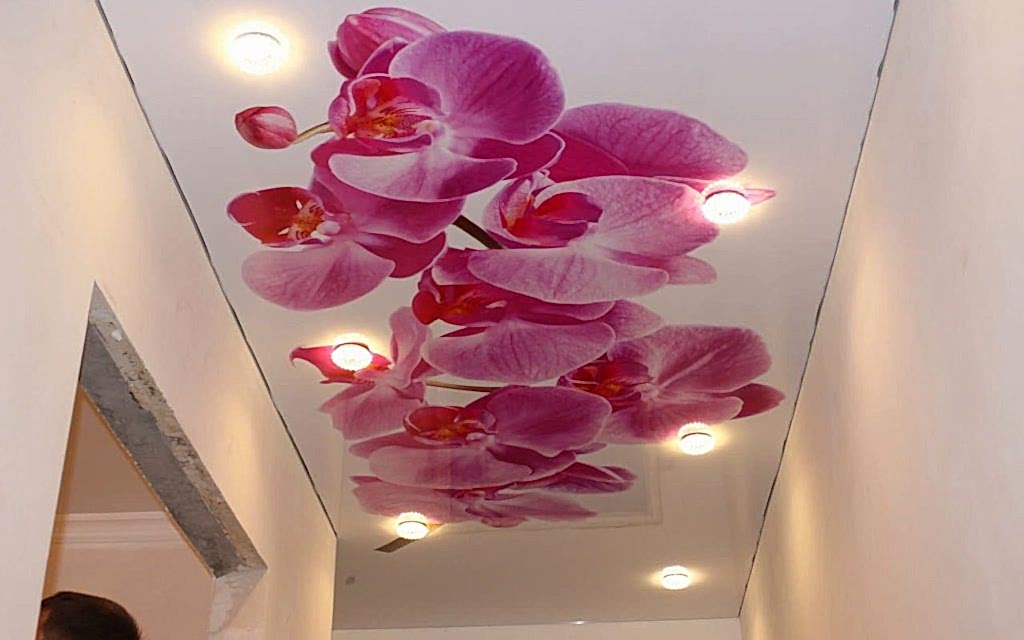 Натяжной потолок глянцевый с фотопечатью в прихожей 6,95 м2