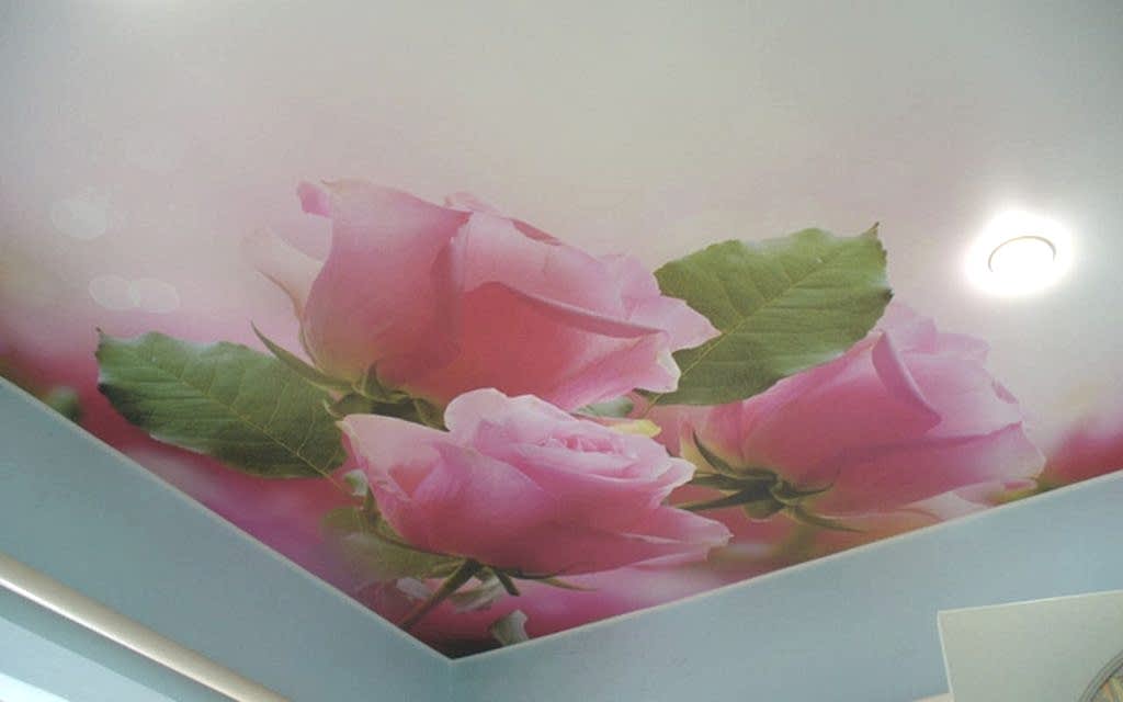 Матовый натяжной потолок в спальне 14,5 кв.м. с фотопечатью