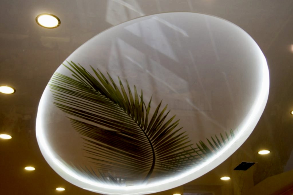 Натяжной потолок двухуровневый с фотопечатью в офисе 25 м2